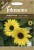Organic Seed Type: Sunflower 'Yellow Shades'