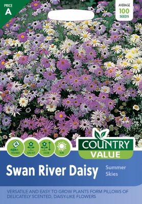 Swan River Daisy Seeds Summer Skies by Country Value
