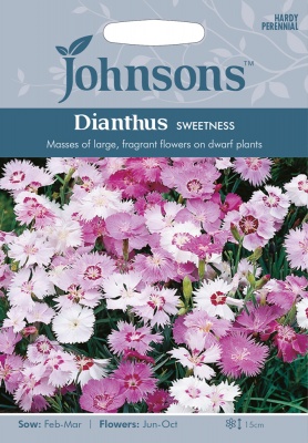 Dianthus 'Sweetness' Seeds by Johnsons