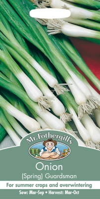 Spring Onion Seeds by Mr Fothergill's Guardsman