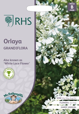 Orlaya Seeds RHS Mr Fothergill's Grandiflora AGM