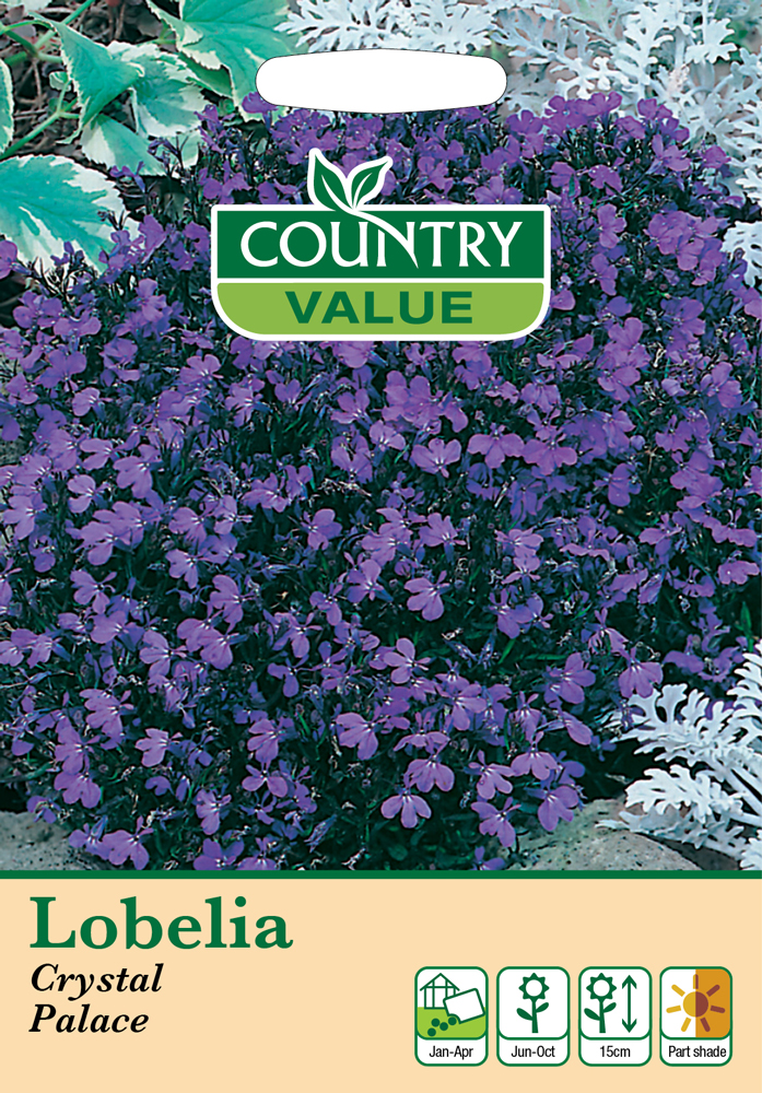 Lobelia Seeds Crystal Palace by Country Value - kazco.co.uk