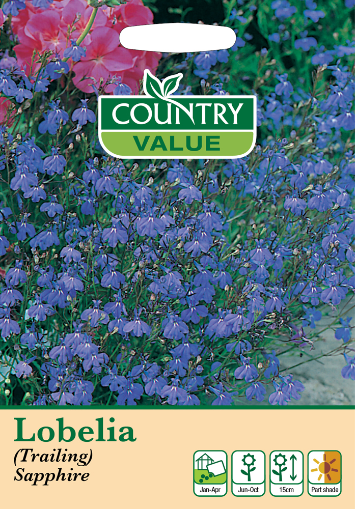 Lobelia Seeds Trailing Sapphire by Country Value - kazco.co.uk