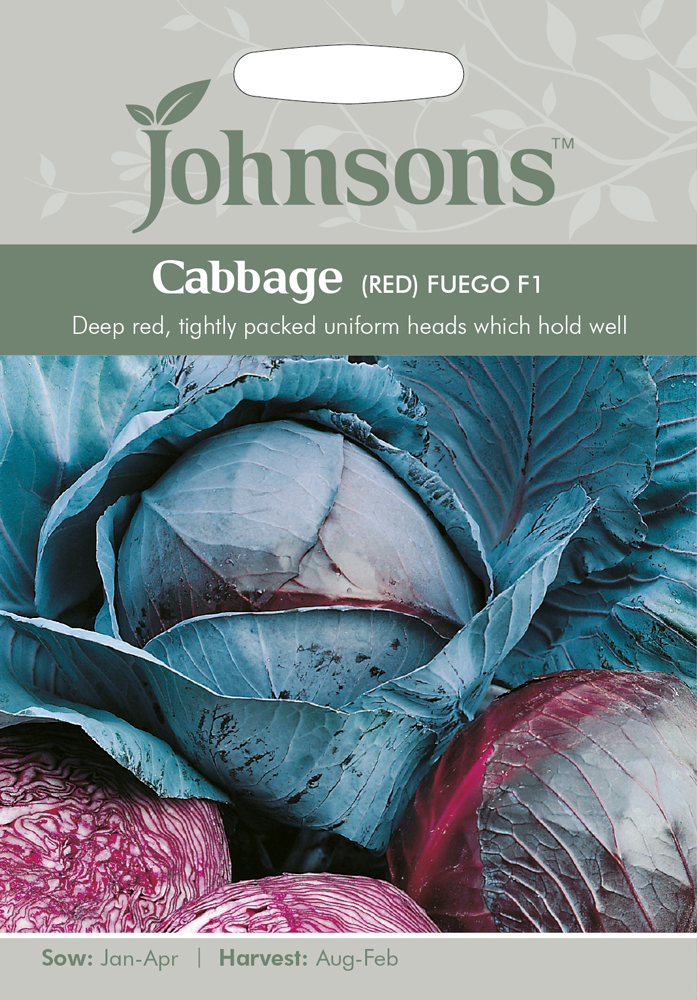 Red Cabbage Seeds Fuego By Johnsons Uk