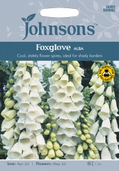 Foxglove 'Alba' Seeds by Johnsons