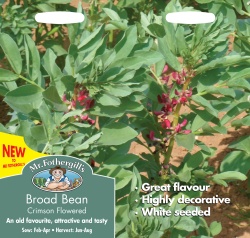 Broad Bean Seeds Crimson Flowered by Mr Fothergill's