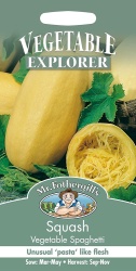 Squash Seeds Vegetable Spaghetti by Mr Fothergills