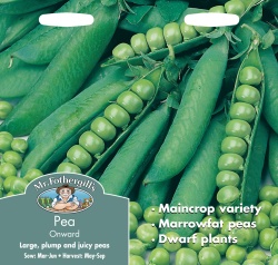 Pea Seeds 'Onwards' by Mr Fothergill's