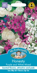 Helichrysum Seeds by Mr Fothergill's 'Strawflower Mix'