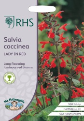 RHS Salvia Seeds Lady In Red Mr Fothergill's